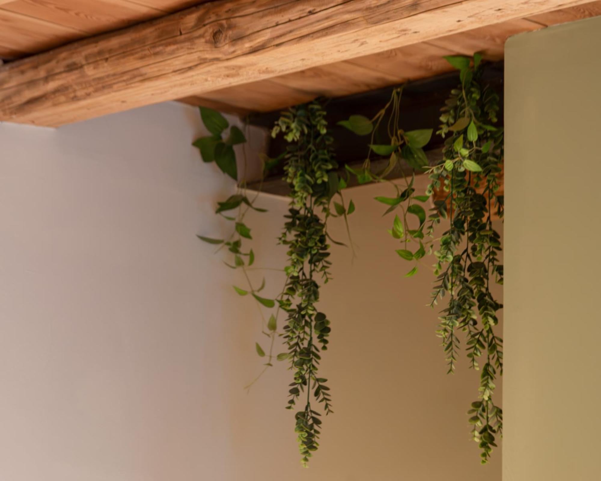 Bacaria Bed&Breakfast Басано дел Грапа Екстериор снимка